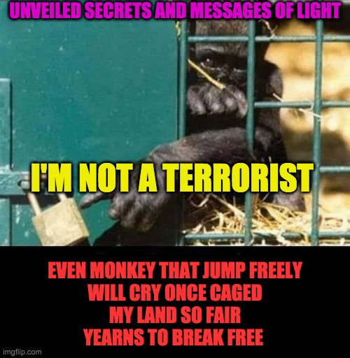 I'M NOT A TERRORIST | UNVEILED SECRETS AND MESSAGES OF LIGHT; I'M NOT A TERRORIST; EVEN MONKEY THAT JUMP FREELY
WILL CRY ONCE CAGED
MY LAND SO FAIR
YEARNS TO BREAK FREE | image tagged in i'm not a terrorist | made w/ Imgflip meme maker
