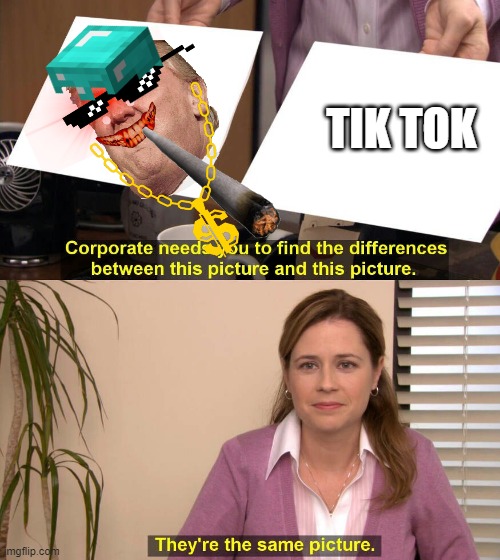 She's not lying | TIK TOK | image tagged in they are the same picture | made w/ Imgflip meme maker