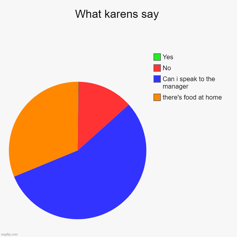 What karens say | there's food at home, Can i speak to the manager, No, Yes | image tagged in charts,pie charts | made w/ Imgflip chart maker