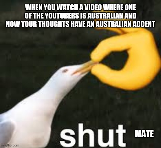 Shut Bird | WHEN YOU WATCH A VIDEO WHERE ONE OF THE YOUTUBERS IS AUSTRALIAN AND NOW YOUR THOUGHTS HAVE AN AUSTRALIAN ACCENT; MATE | image tagged in shut bird | made w/ Imgflip meme maker