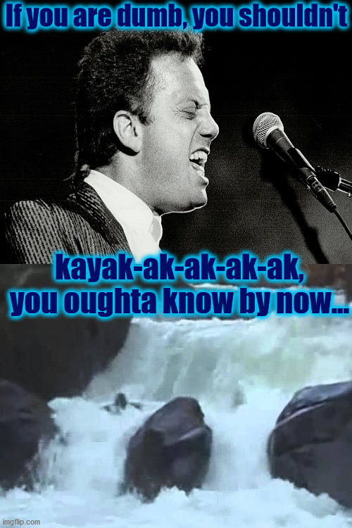 If you are dumb, you shouldn't; kayak-ak-ak-ak-ak,
you oughta know by now... | image tagged in billy joel,kayak,movin' out | made w/ Imgflip meme maker
