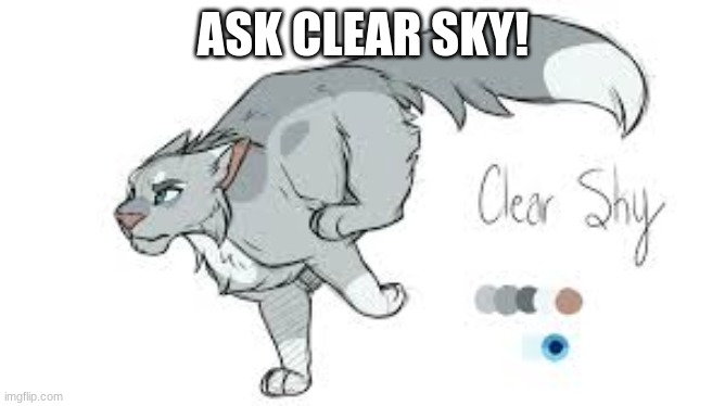 CLEAR SKYYYY | ASK CLEAR SKY! | made w/ Imgflip meme maker