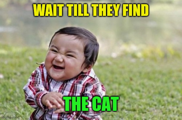 Evil Toddler Meme | WAIT TILL THEY FIND THE CAT | image tagged in memes,evil toddler | made w/ Imgflip meme maker