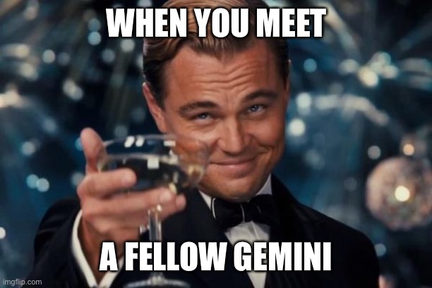 Leonardo Dicaprio Cheers | WHEN YOU MEET; A FELLOW GEMINI | image tagged in memes,leonardo dicaprio cheers | made w/ Imgflip meme maker