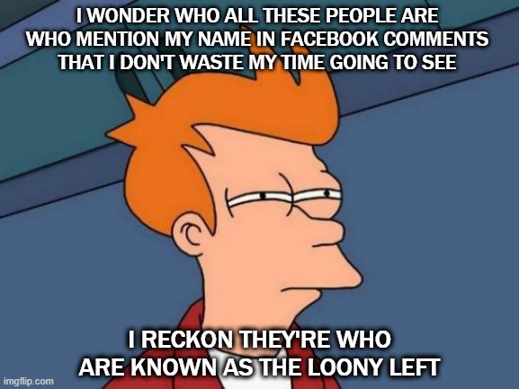 Facebook Agitators | I WONDER WHO ALL THESE PEOPLE ARE WHO MENTION MY NAME IN FACEBOOK COMMENTS THAT I DON'T WASTE MY TIME GOING TO SEE; I RECKON THEY'RE WHO ARE KNOWN AS THE LOONY LEFT | image tagged in memes,futurama fry | made w/ Imgflip meme maker