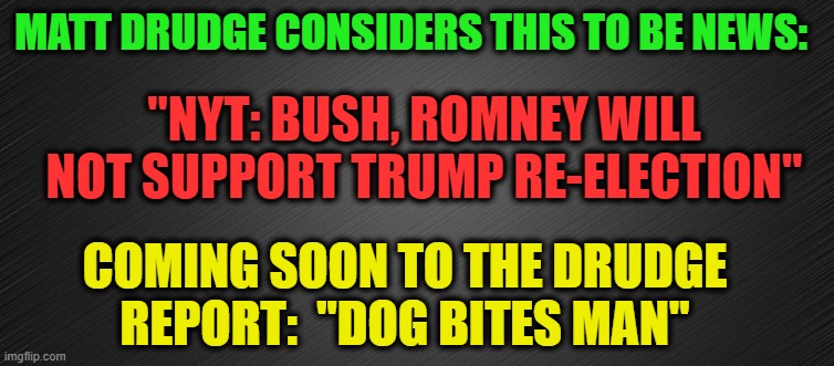 Drudge: The New Water Carrier for the Establishment Media | MATT DRUDGE CONSIDERS THIS TO BE NEWS:; "NYT: BUSH, ROMNEY WILL NOT SUPPORT TRUMP RE-ELECTION"; COMING SOON TO THE DRUDGE REPORT:  "DOG BITES MAN" | image tagged in drudge report,new york times,george w bush,mitt romney,president trump | made w/ Imgflip meme maker