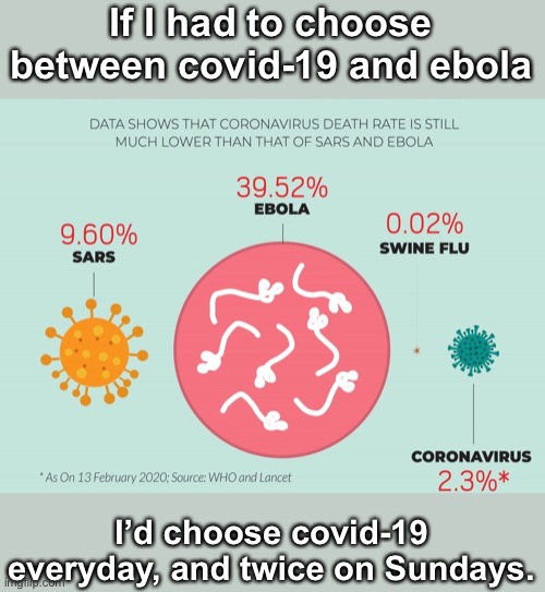 If I had to choose between covid-19 and ebola I’d choose covid-19 everyday, and twice on Sundays. | made w/ Imgflip meme maker