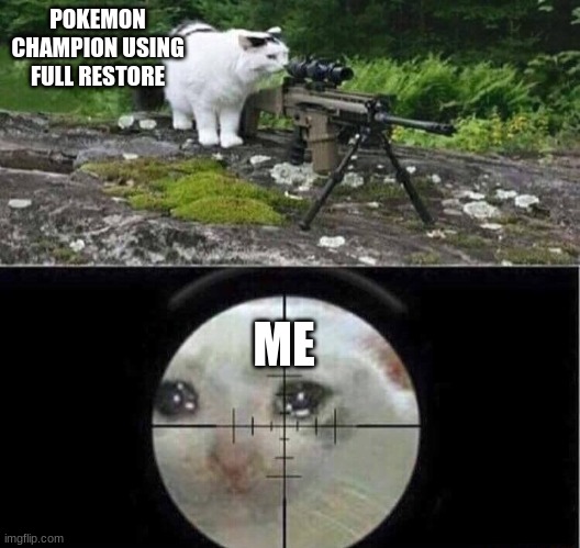 Sniper cat | POKEMON CHAMPION USING FULL RESTORE; ME | image tagged in sniper cat | made w/ Imgflip meme maker