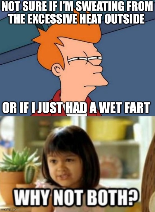 Not sure if  both | NOT SURE IF I’M SWEATING FROM
THE EXCESSIVE HEAT OUTSIDE; OR IF I JUST HAD A WET FART | image tagged in memes,futurama fry,why not both,fart,not sure if,aint nobody got time for that | made w/ Imgflip meme maker