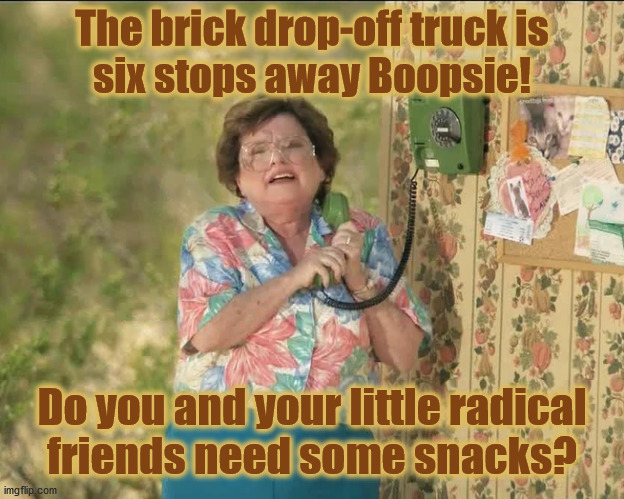 The brick drop-off truck is
six stops away Boopsie! Do you and your little radical
friends need some snacks? | image tagged in bricks,riot,rioters,radical | made w/ Imgflip meme maker
