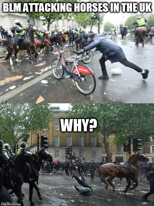 BLM ATTACKING HORSES IN THE UK; WHY? | image tagged in horse lives matter | made w/ Imgflip meme maker