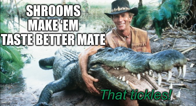 SHROOMS MAKE ‘EM TASTE BETTER MATE That tickles! | made w/ Imgflip meme maker
