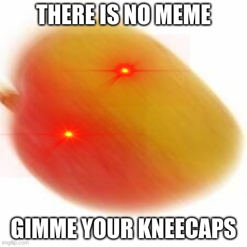 hand em over | THERE IS NO MEME; GIMME YOUR KNEECAPS | image tagged in there is no meme,kneecaps,mango | made w/ Imgflip meme maker