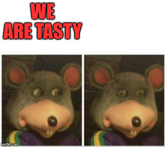 chuck e cheese rat stare | WE ARE TASTY | image tagged in chuck e cheese rat stare | made w/ Imgflip meme maker