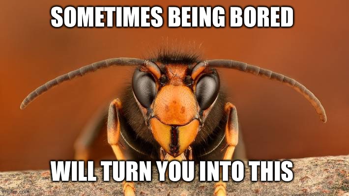 Murder Hornet | SOMETIMES BEING BORED; WILL TURN YOU INTO THIS | image tagged in murder hornet | made w/ Imgflip meme maker