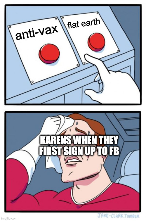 Two Buttons | flat earth; anti-vax; KARENS WHEN THEY FIRST SIGN UP TO FB | image tagged in memes,two buttons,karen,facebook | made w/ Imgflip meme maker