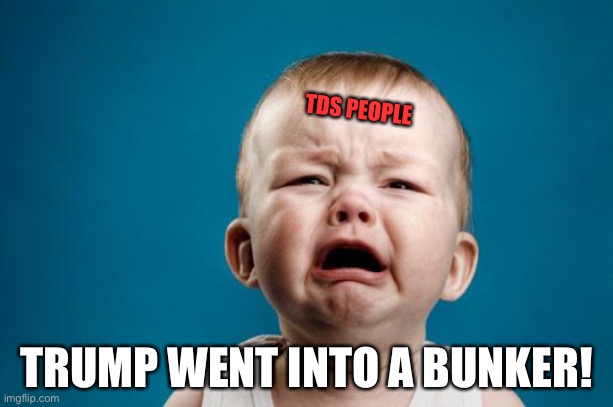 BABY CRYING | TDS PEOPLE TRUMP WENT INTO A BUNKER! | image tagged in baby crying | made w/ Imgflip meme maker