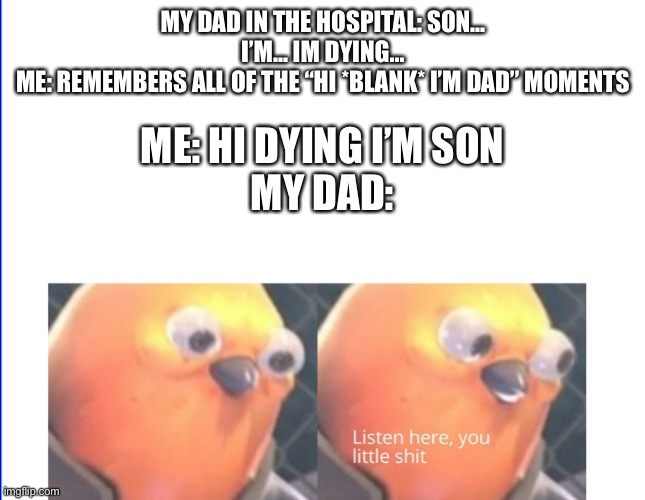 When you get revenge for all of the dad joke moments. | MY DAD IN THE HOSPITAL: SON... I’M... IM DYING...
ME: REMEMBERS ALL OF THE “HI *BLANK* I’M DAD” MOMENTS; ME: HI DYING I’M SON
MY DAD: | image tagged in dad joke,listen here you little shit bird | made w/ Imgflip meme maker