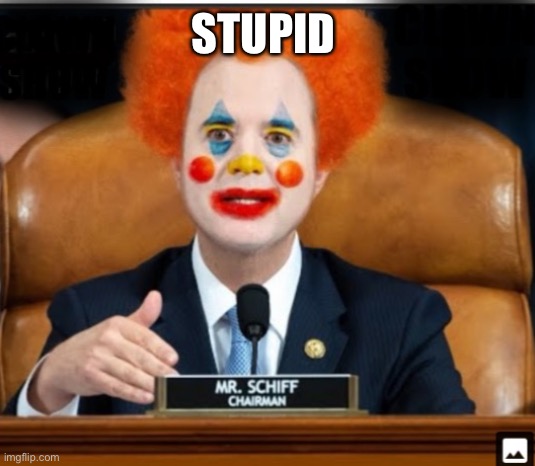 Insane Schiffty Clownshit | STUPID | image tagged in insane schiffty clownshit | made w/ Imgflip meme maker