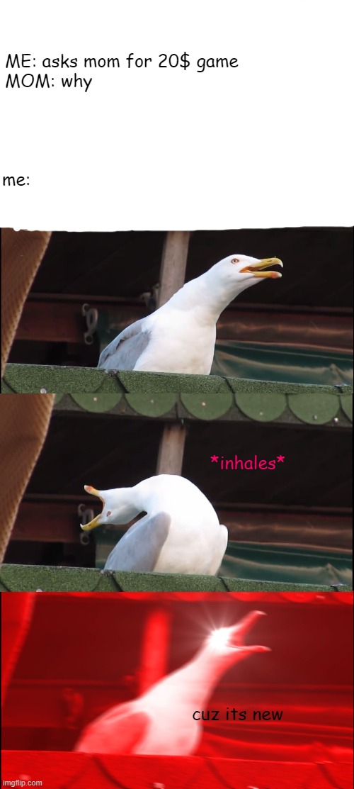 Inhaling Seagull | ME: asks mom for 20$ game

MOM: why; me:; *inhales*; cuz its new | image tagged in memes,inhaling seagull | made w/ Imgflip meme maker