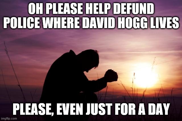 Let's give him what he wants | OH PLEASE HELP DEFUND POLICE WHERE DAVID HOGG LIVES; PLEASE, EVEN JUST FOR A DAY | image tagged in david hogg,defund police | made w/ Imgflip meme maker