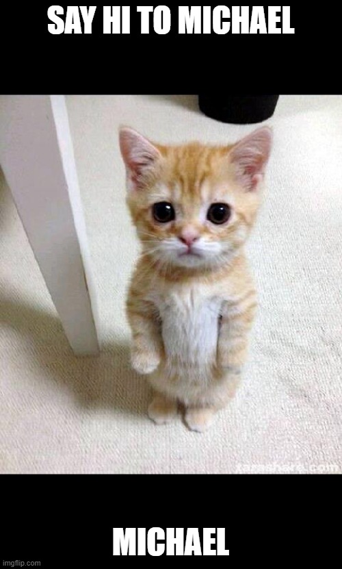 Cute Cat | SAY HI TO MICHAEL; MICHAEL | image tagged in memes,cute cat | made w/ Imgflip meme maker
