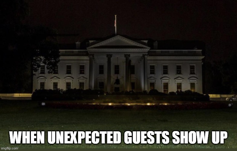 When unexpected guests show up | WHEN UNEXPECTED GUESTS SHOW UP | image tagged in the white house,memes,unexpected,2020 | made w/ Imgflip meme maker
