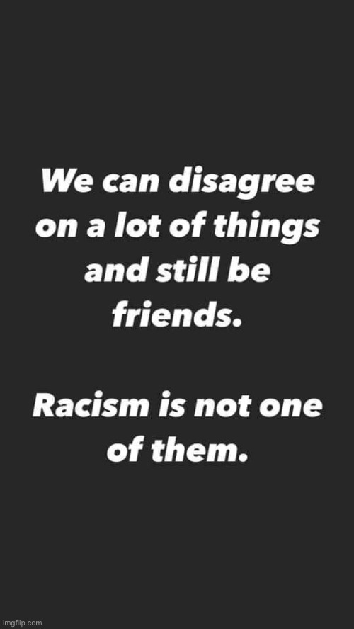 I’m more lenient than this personally, but I could see why some feel this way. Human rights are not negotiable. | image tagged in human rights,friends,racism,repost,friendship,racial harmony | made w/ Imgflip meme maker