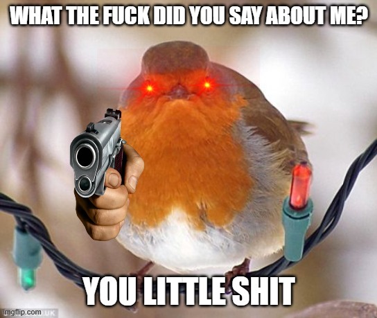 mad birb with gun | image tagged in wtf | made w/ Imgflip meme maker