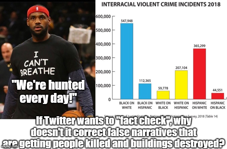 Ignore the facts behind the curtain! | "We're hunted every day!"; If Twitter wants to "fact check", why doesn't it correct false narratives that are getting people killed and buildings destroyed? | image tagged in cultural marxism,white genocide,biased media | made w/ Imgflip meme maker