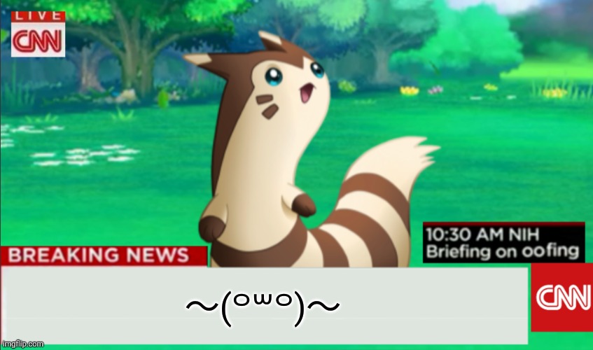 Breaking News Furret | 〜(꒪꒳꒪)〜 | image tagged in breaking news furret | made w/ Imgflip meme maker