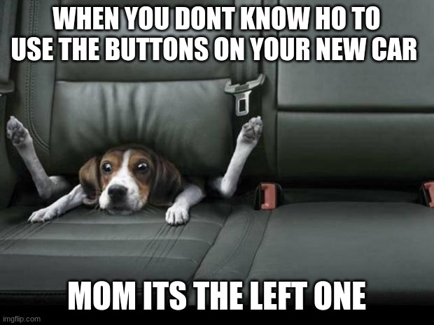 funny dog back seat | WHEN YOU DONT KNOW HO TO USE THE BUTTONS ON YOUR NEW CAR; MOM ITS THE LEFT ONE | image tagged in funny dog back seat | made w/ Imgflip meme maker