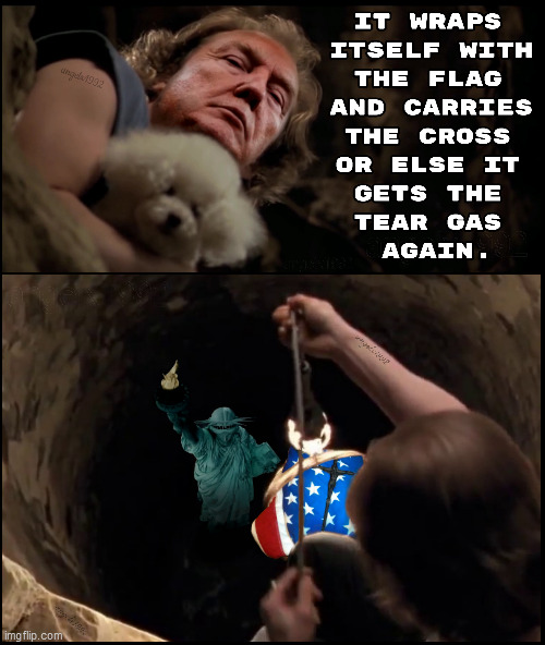 image tagged in silence of the lambs,buffalo bill silence of the lambs,trump,it puts the lotion on the skin,statue of liberty,tear gas | made w/ Imgflip meme maker