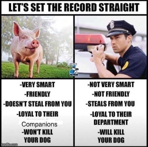 The joke falls flat. Not a big fan of comparing humans to animals even if there’s a pun. Also overgeneralizes | image tagged in bad joke,police,pig,pigs,cringe,cringe worthy | made w/ Imgflip meme maker
