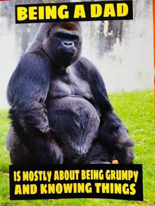 My cousin who reposted this on my FB feed is literally this gorilla | image tagged in being a dad,dad,gorilla,knowinghalfthebattle,grumpy,repost | made w/ Imgflip meme maker