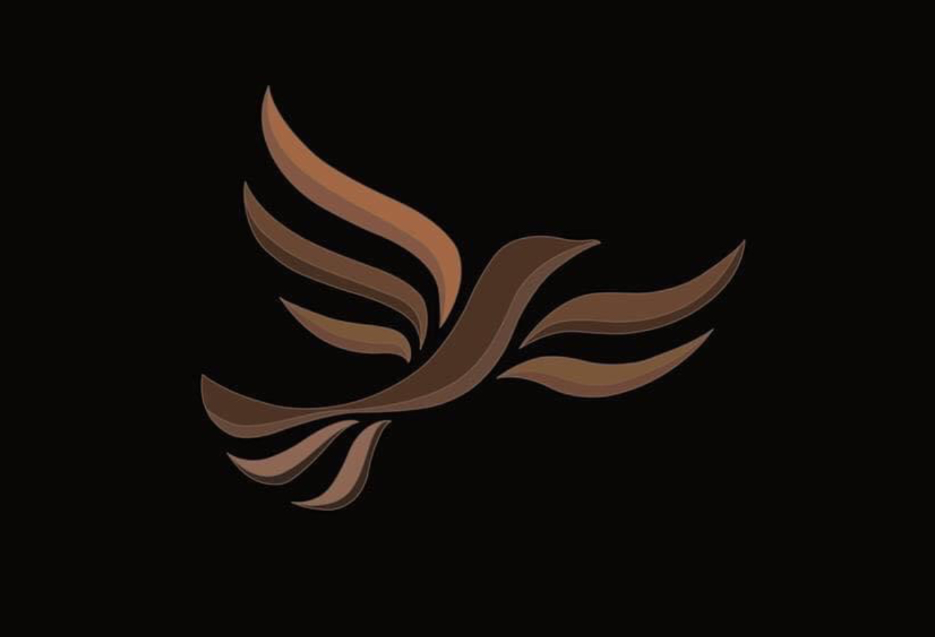 The Lib Dem’s Blank Meme Template