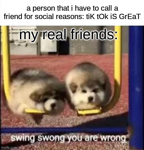 swing swong you are REALLY wrong | a person that i have to call a friend for social reasons: tiK tOk iS GrEaT; my real friends: | image tagged in swing swong you are wrong,tik tok,tiktok,friend | made w/ Imgflip meme maker