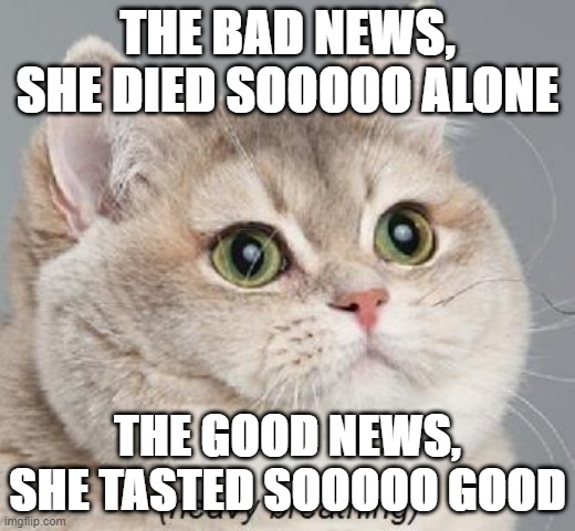 A mans gotta redo! | THE BAD NEWS, SHE DIED SOOOOO ALONE; THE GOOD NEWS, SHE TASTED SOOOOO GOOD | image tagged in memes,heavy breathing cat | made w/ Imgflip meme maker