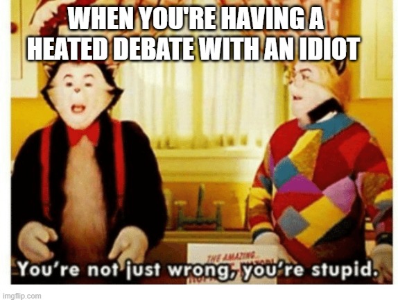 Heated Debate | WHEN YOU'RE HAVING A HEATED DEBATE WITH AN IDIOT | image tagged in you're not just wrong your stupid | made w/ Imgflip meme maker