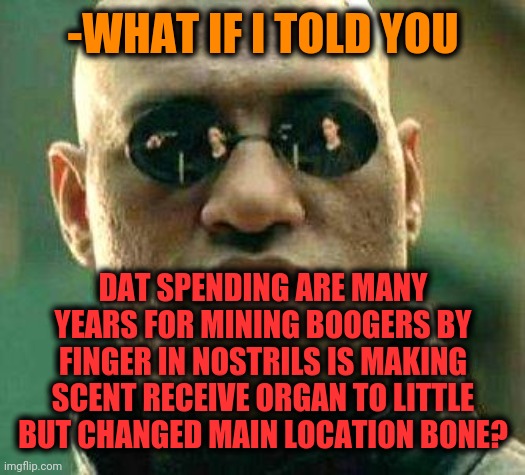 -No way instead of entering salt water to flow inner bads. | -WHAT IF I TOLD YOU; DAT SPENDING ARE MANY YEARS FOR MINING BOOGERS BY FINGER IN NOSTRILS IS MAKING SCENT RECEIVE ORGAN TO LITTLE BUT CHANGED MAIN LOCATION BONE? | image tagged in what if i told you,boogers,mining,broken,nose,beware | made w/ Imgflip meme maker
