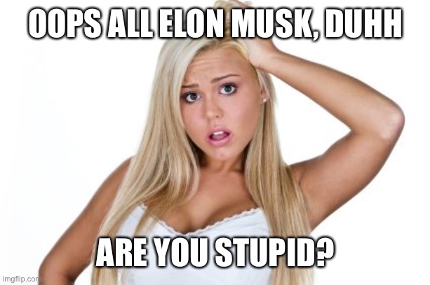 Dumb Blonde | OOPS ALL ELON MUSK, DUHH ARE YOU STUPID? | image tagged in dumb blonde | made w/ Imgflip meme maker