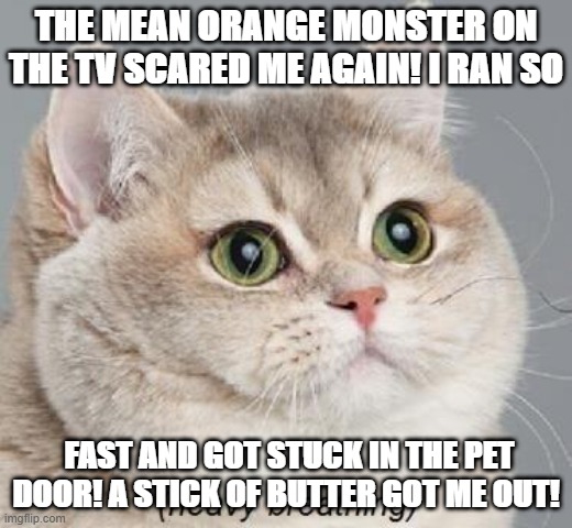 Mommy met a cute fireman! | THE MEAN ORANGE MONSTER ON THE TV SCARED ME AGAIN! I RAN SO; FAST AND GOT STUCK IN THE PET DOOR! A STICK OF BUTTER GOT ME OUT! | image tagged in memes,heavy breathing cat | made w/ Imgflip meme maker