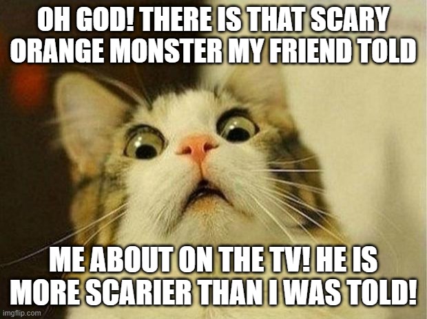 Scary monster! | OH GOD! THERE IS THAT SCARY ORANGE MONSTER MY FRIEND TOLD; ME ABOUT ON THE TV! HE IS MORE SCARIER THAN I WAS TOLD! | image tagged in memes,scared cat | made w/ Imgflip meme maker