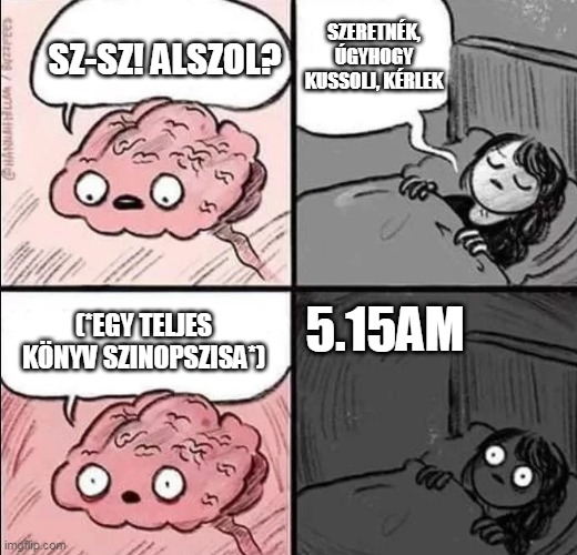 Egy író élete | SZERETNÉK, ÚGYHOGY KUSSOLJ, KÉRLEK; SZ-SZ! ALSZOL? (*EGY TELJES KÖNYV SZINOPSZISA*); 5.15AM | image tagged in wake up brain blank | made w/ Imgflip meme maker