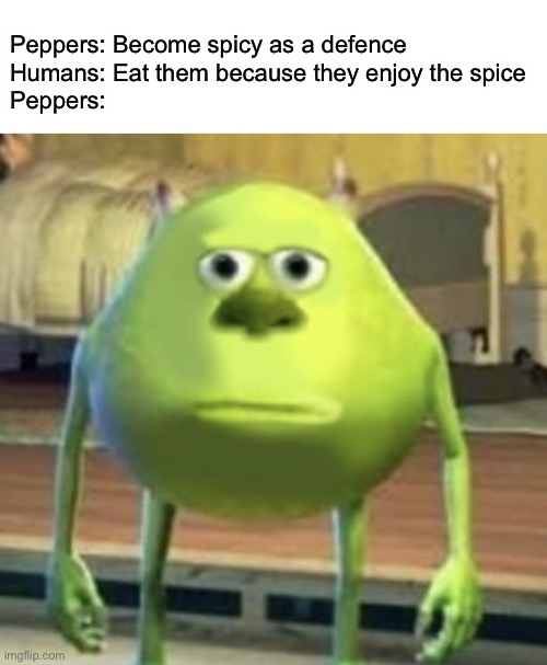 Peppers | Peppers: Become spicy as a defence
Humans: Eat them because they enjoy the spice
Peppers: | image tagged in mike wazowski face swap | made w/ Imgflip meme maker