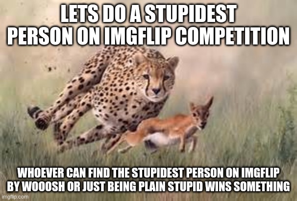 I feel like penelopestrunk is gonna win | LETS DO A STUPIDEST PERSON ON IMGFLIP COMPETITION; WHOEVER CAN FIND THE STUPIDEST PERSON ON IMGFLIP BY WOOOSH OR JUST BEING PLAIN STUPID WINS SOMETHING | image tagged in competition | made w/ Imgflip meme maker