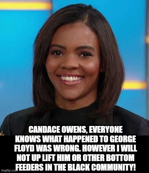 I will not up lift bottom feeders! Watch her video in Comments,  already 71 Million Views! Truth not FAKE NEWS! | image tagged in stupid liberals,cnn fake news,fake news | made w/ Imgflip meme maker