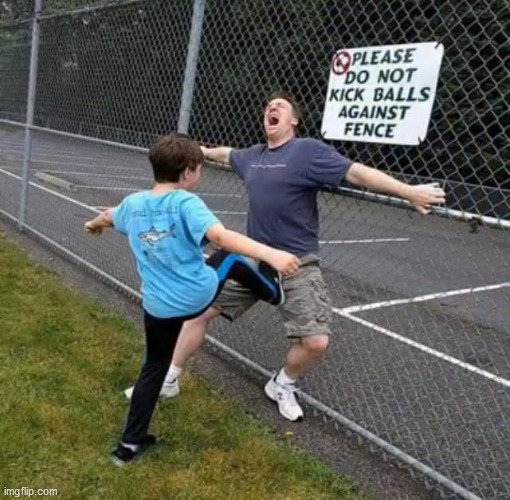 image tagged in fence,balls | made w/ Imgflip meme maker