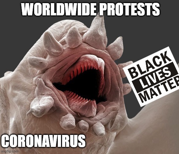 Everyone has a voice | WORLDWIDE PROTESTS; CORONAVIRUS | image tagged in blm,coronavirus,black lives matter,covid-19,protesters | made w/ Imgflip meme maker