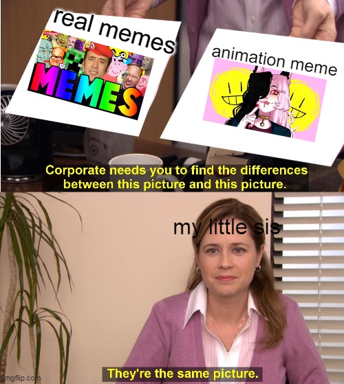 The two different kind of memes | real memes; animation meme; my little sis | image tagged in memes,they're the same picture | made w/ Imgflip meme maker